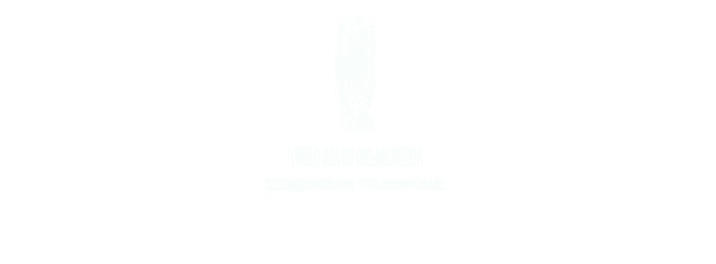 联合国世品委世品会动图5.gif